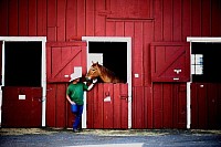 Boarding Stables For Horses